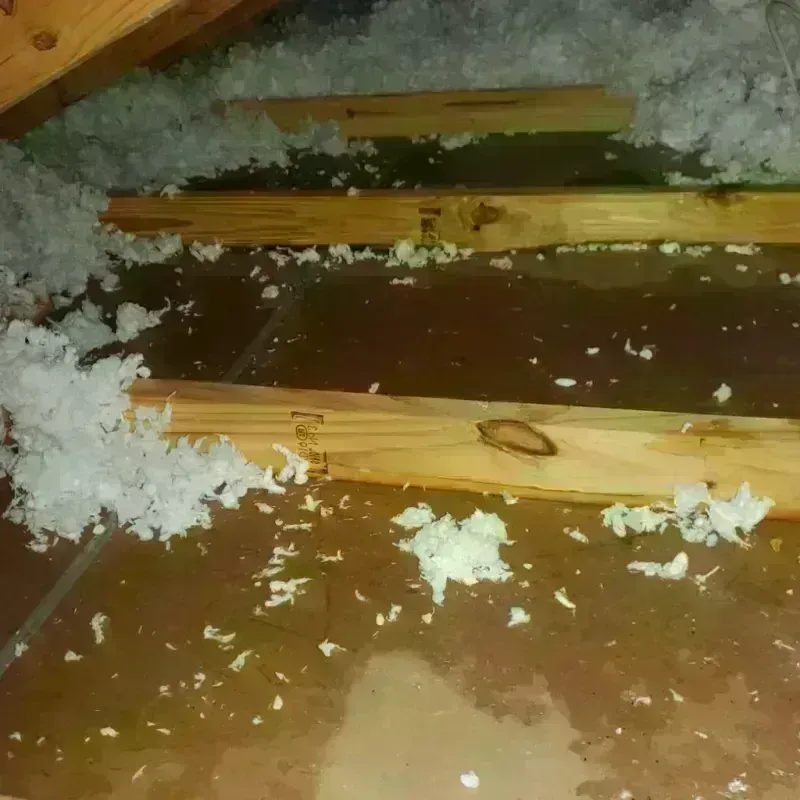 Attic Water Damage in Erath, LA